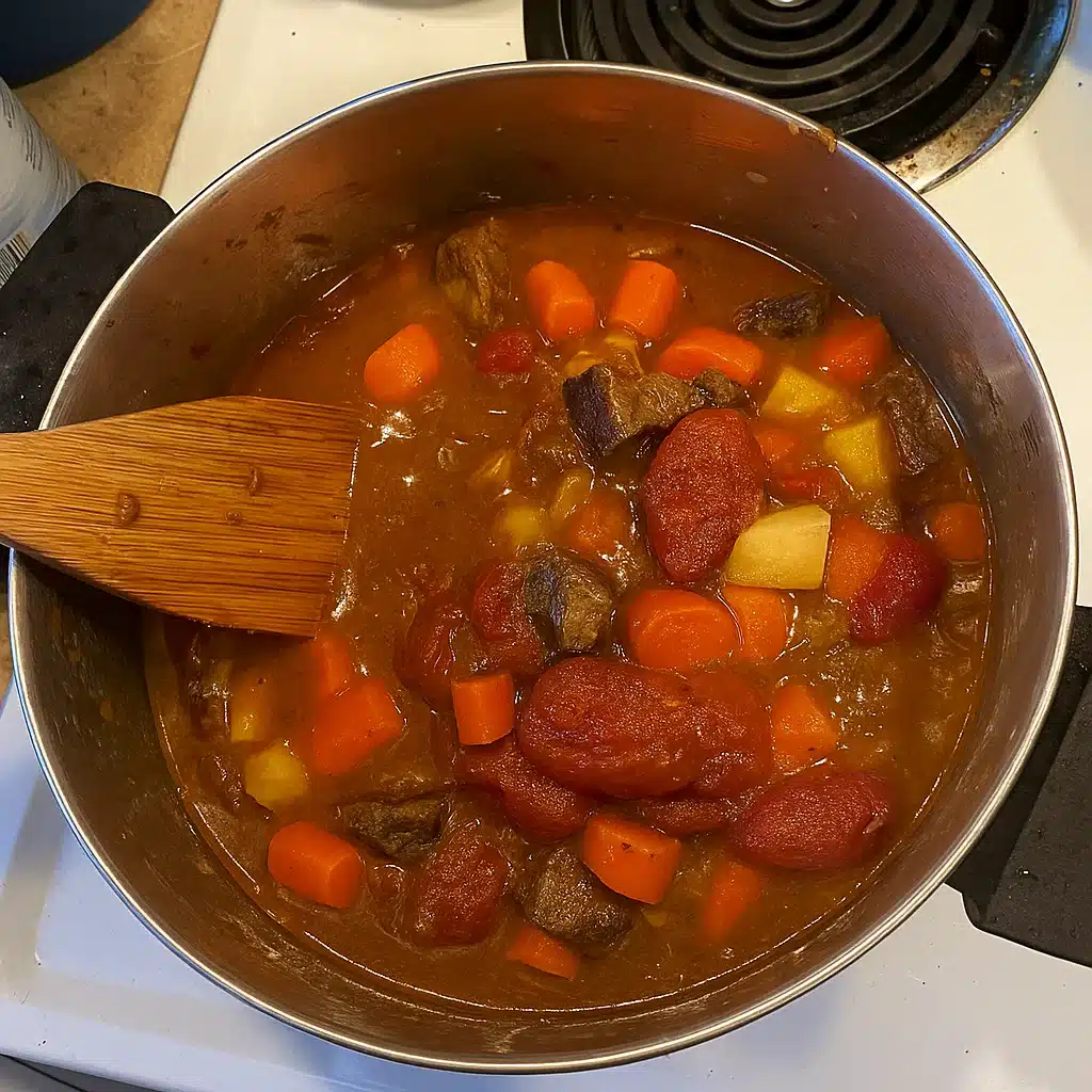 French Beef Stew 6 A hearty bowl of French beef stew with tender chunks of beef, carrots, and potatoes in a rich tomato-based broth, garnished with fresh herbs