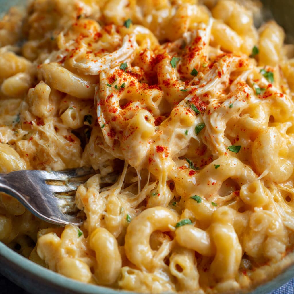Creamy chicken mac and cheese in a white bowl with a fork, showing tender elbow macaroni coated in golden cheese sauce with chunks of chicken throughout, garnished with paprika