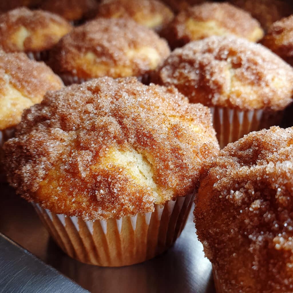 The easiest homemade Cinnamon Sugar Muffins with that perfect bakery-style crunchy top! Soft, fluffy, and ready in just 30 minutes.