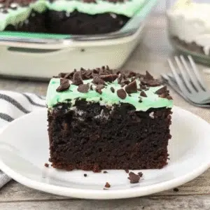 Slice of Andes Mint Poke Cake on white plate showing layers of chocolate cake, hot fudge, chocolate pudding, and mint whipped cream