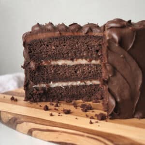Chocolate Coconut Cake